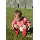 Conjunto Escarlet Niño