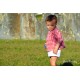 Conjunto Escarlet Niño